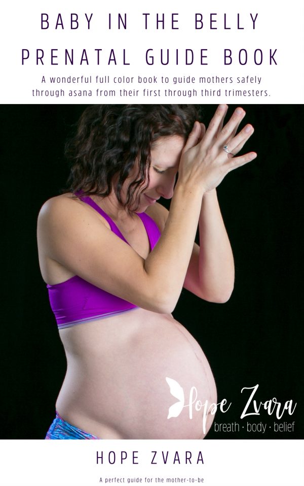 Baby in the Belly, A Prental Yoga Guide Book